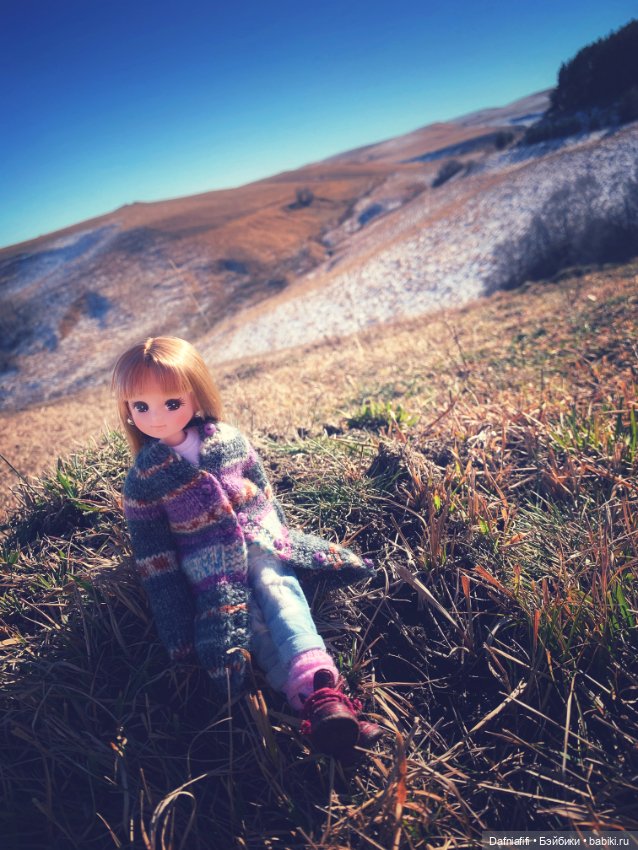 Осень. Горы. Люсенька — Игровые куклы разных производителей (Разное): редкие бренды (фото 3)