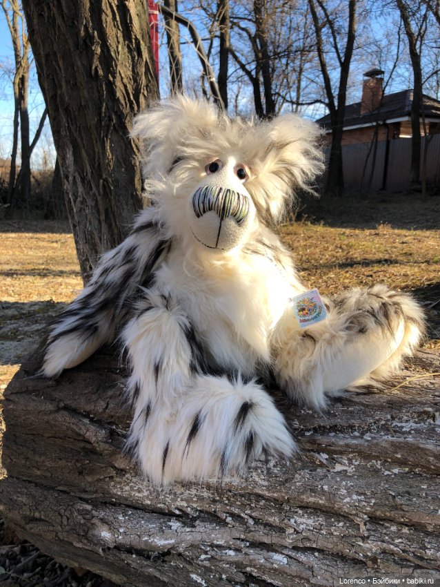 Wendell. I'm an Englishbear in Rostov-on-Don