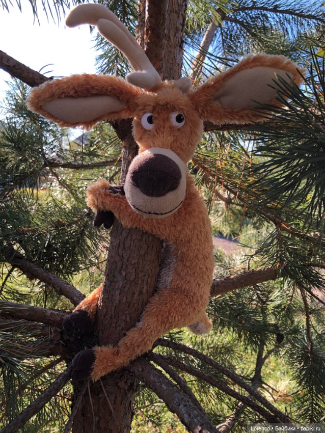 Wendell. I'm an Englishbear in Rostov-on-Don