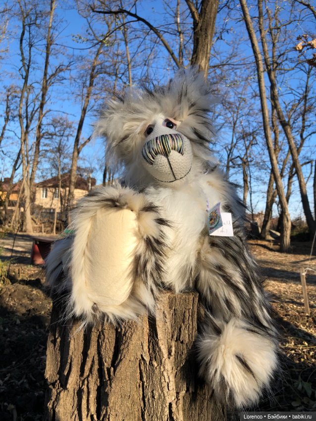 Wendell. I'm an Englishbear in Rostov-on-Don (фото 2)