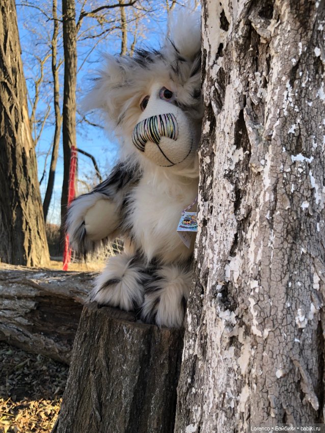 Wendell. I'm an Englishbear in Rostov-on-Don