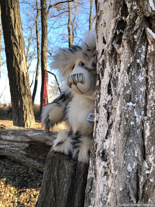 Wendell. I'm an Englishbear in Rostov-on-Don