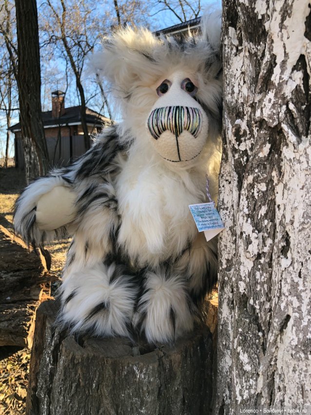 Wendell. I'm an Englishbear in Rostov-on-Don