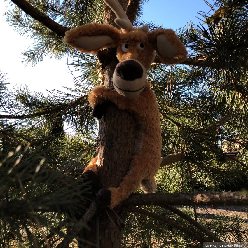 Wendell. I'm an Englishbear in Rostov-on-Don