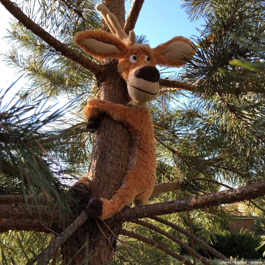 Wendell. I'm an Englishbear in Rostov-on-Don