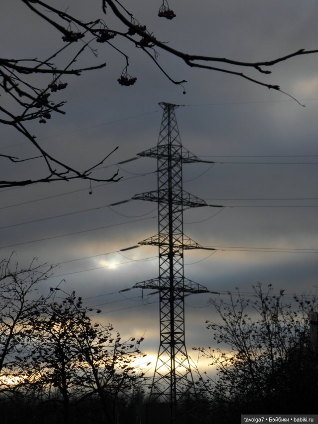 Прогулка ровно в середине ноября (фото 9)