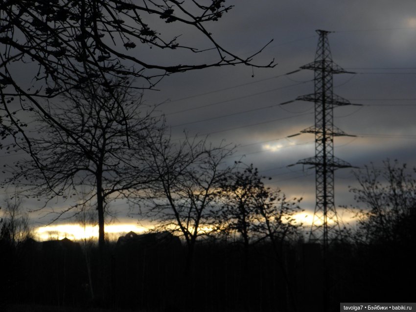 Прогулка ровно в середине ноября