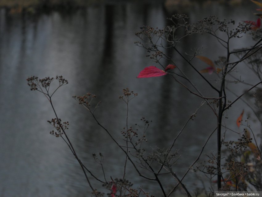 Прогулка ровно в середине ноября