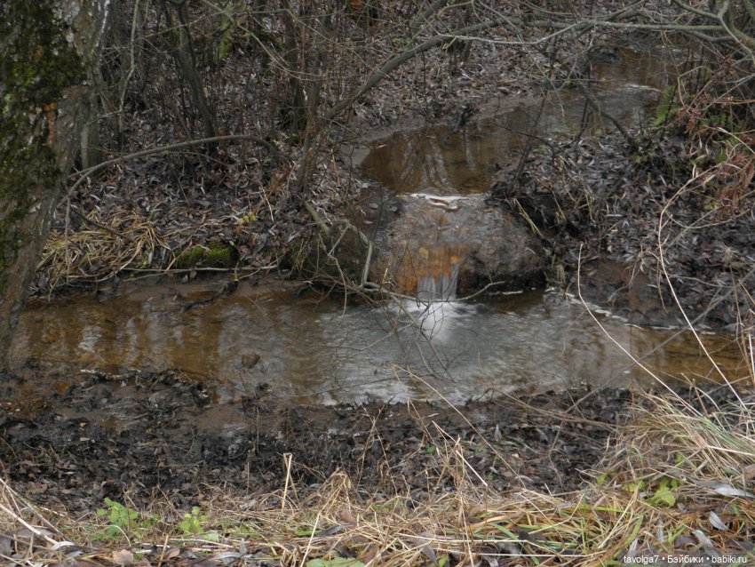 Прогулка ровно в середине ноября (фото 2)