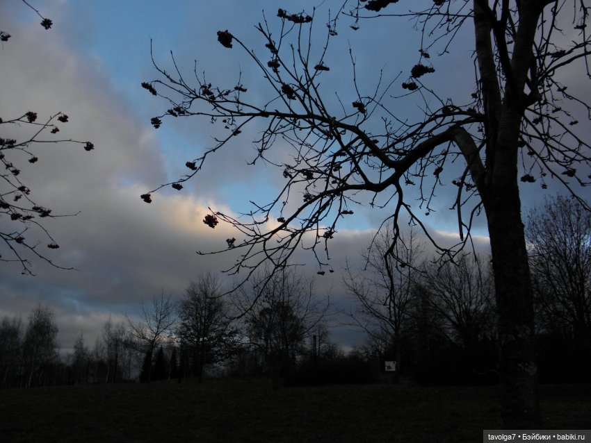 Прогулка ровно в середине ноября (фото 10)