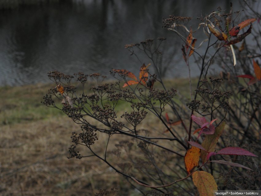 Прогулка ровно в середине ноября