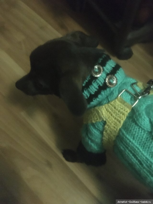 Осенние забавы продолжение