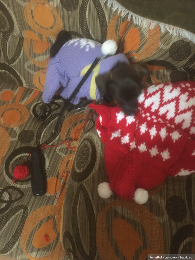 Осенние забавы продолжение