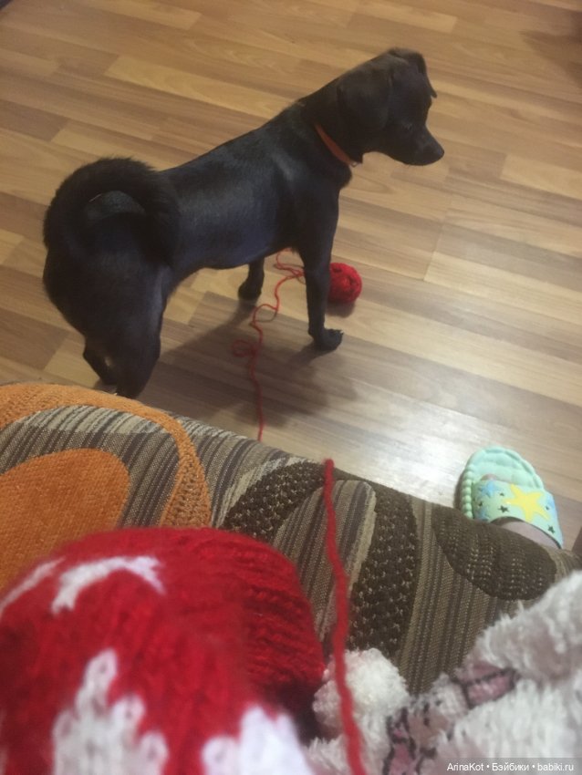 Осенние забавы продолжение