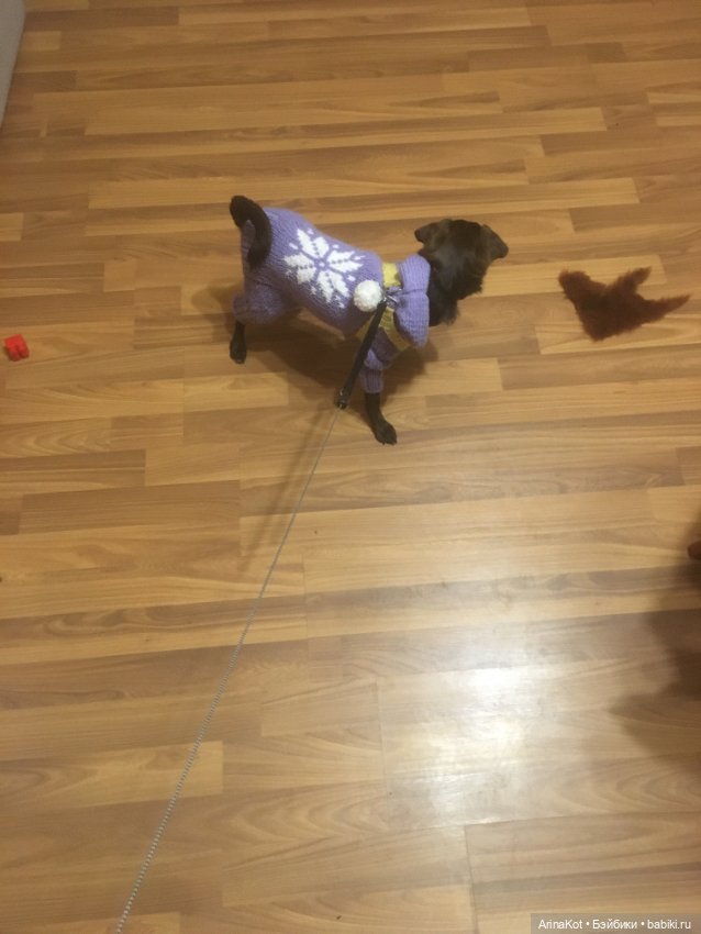 Осенние забавы продолжение (фото 9)