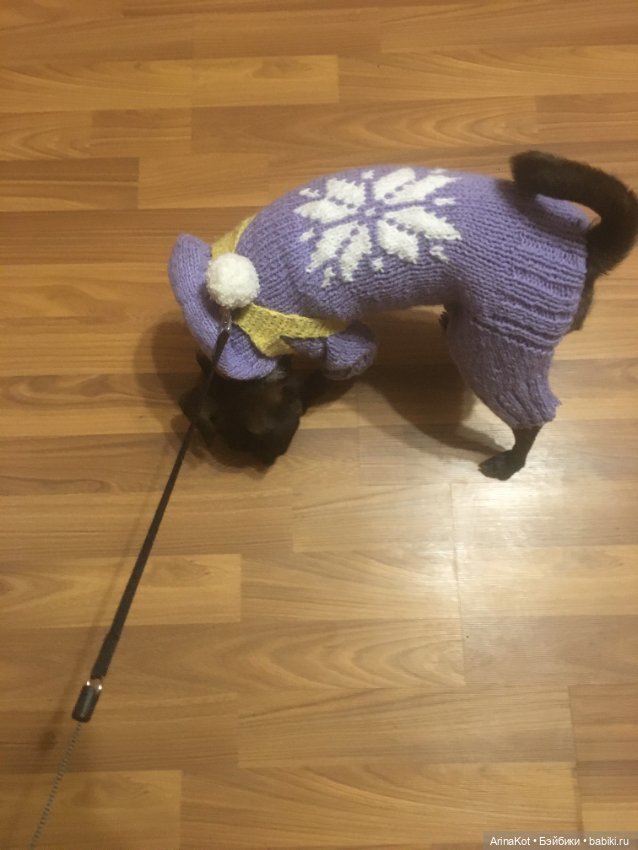 Осенние забавы продолжение