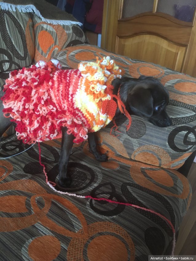 Осенние забавы продолжение