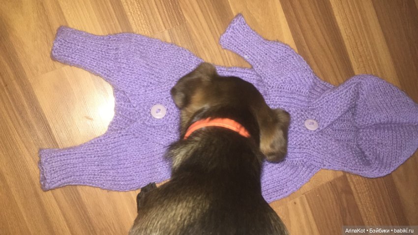 Осенние забавы продолжение (фото 2)