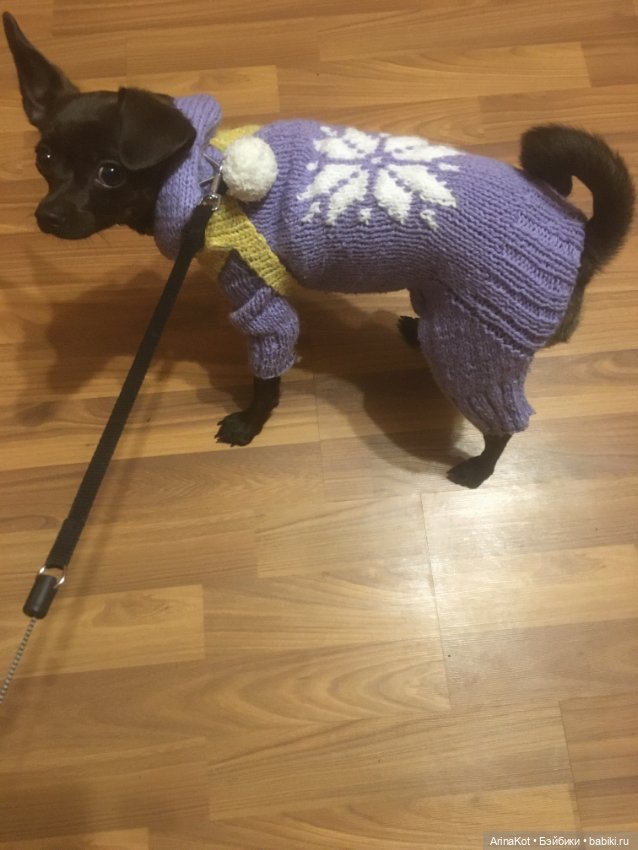 Осенние забавы продолжение (фото 10)