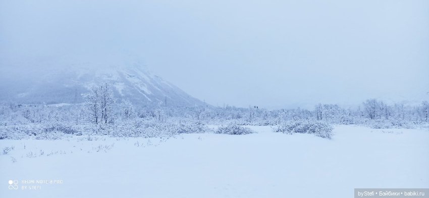 Приглашаю снова прогуляться по Заполярью :) Не соскучились еще