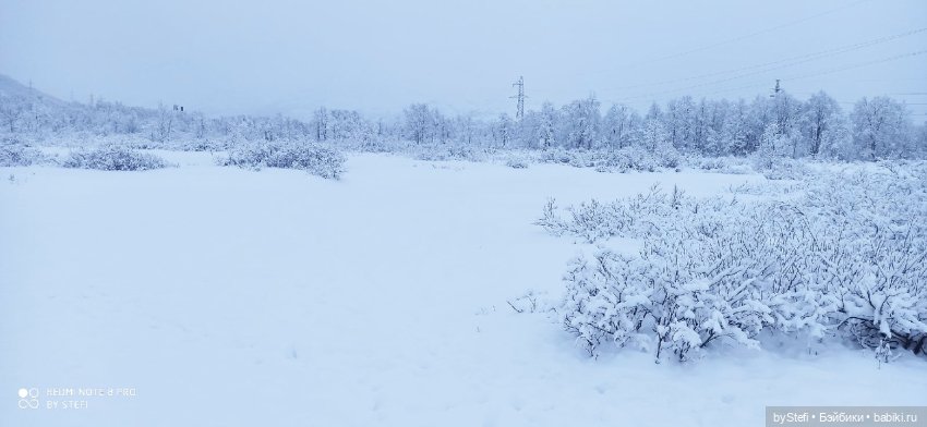 Приглашаю снова прогуляться по Заполярью :) Не соскучились еще