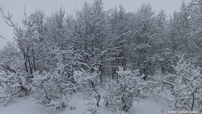 Приглашаю снова прогуляться по Заполярью :) Не соскучились еще