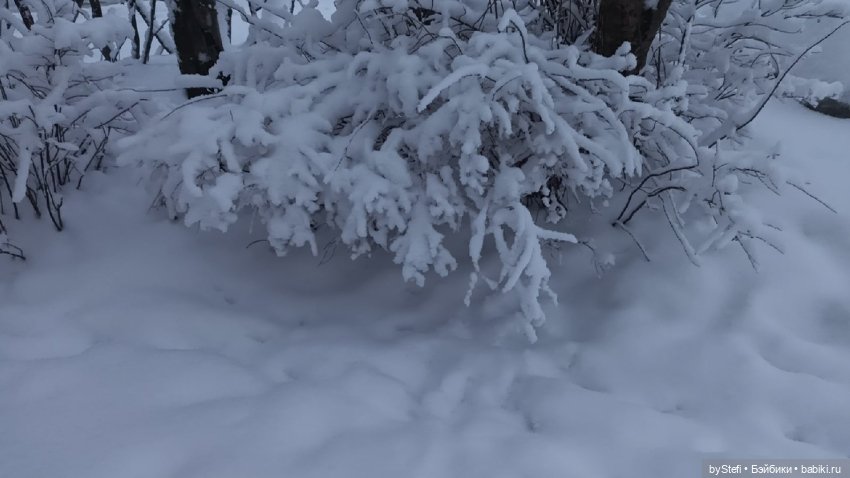 Приглашаю снова прогуляться по Заполярью :) Не соскучились еще