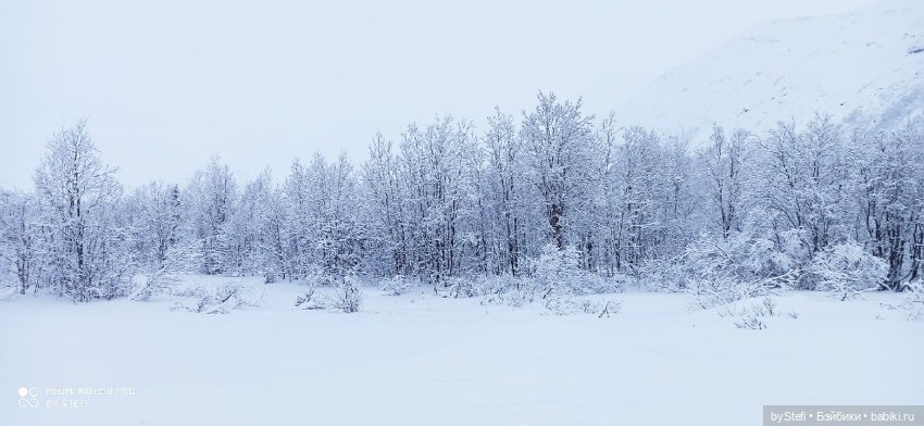 Приглашаю снова прогуляться по Заполярью :) Не соскучились еще