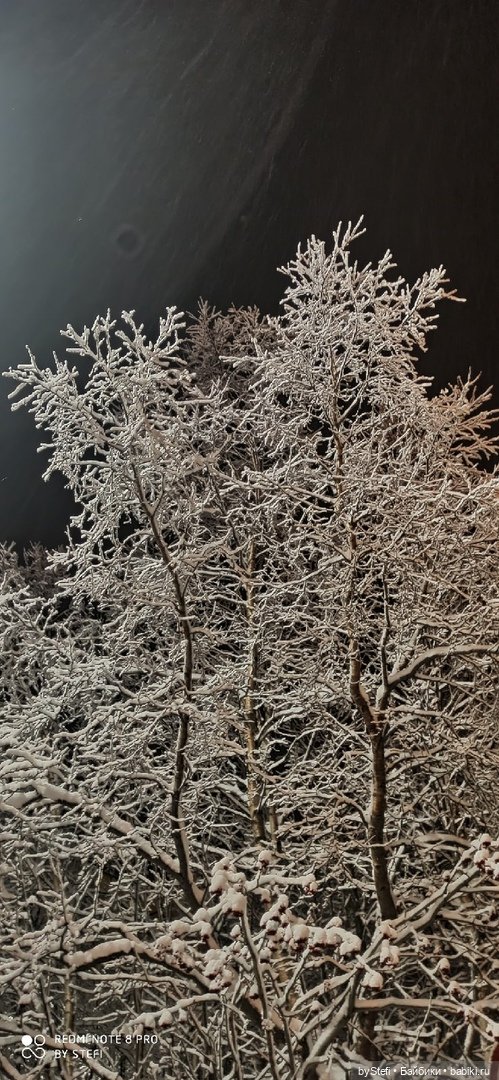 Приглашаю снова прогуляться по Заполярью :) Не соскучились еще (фото 5)