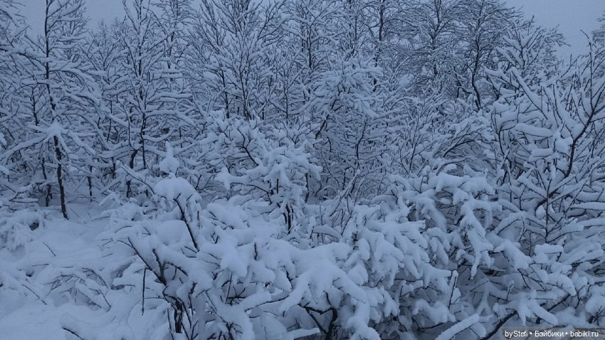 Приглашаю снова прогуляться по Заполярью :) Не соскучились еще
