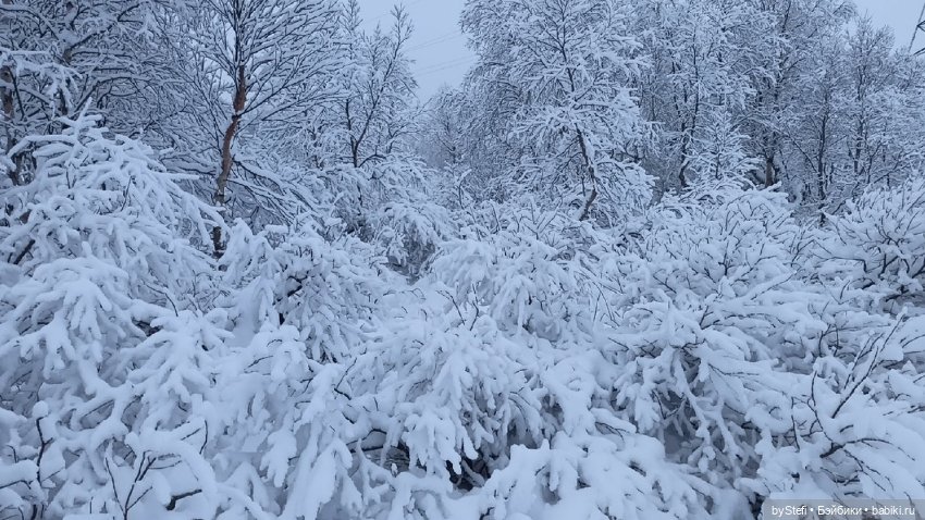 Приглашаю снова прогуляться по Заполярью :) Не соскучились еще