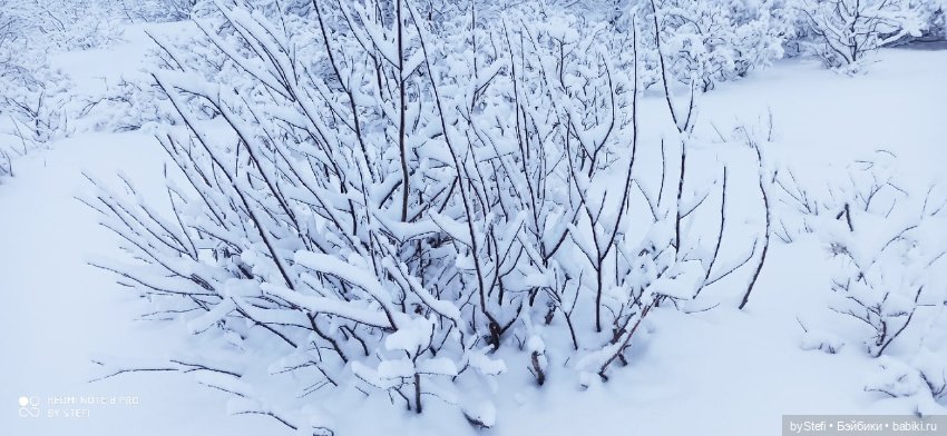Приглашаю снова прогуляться по Заполярью :) Не соскучились еще