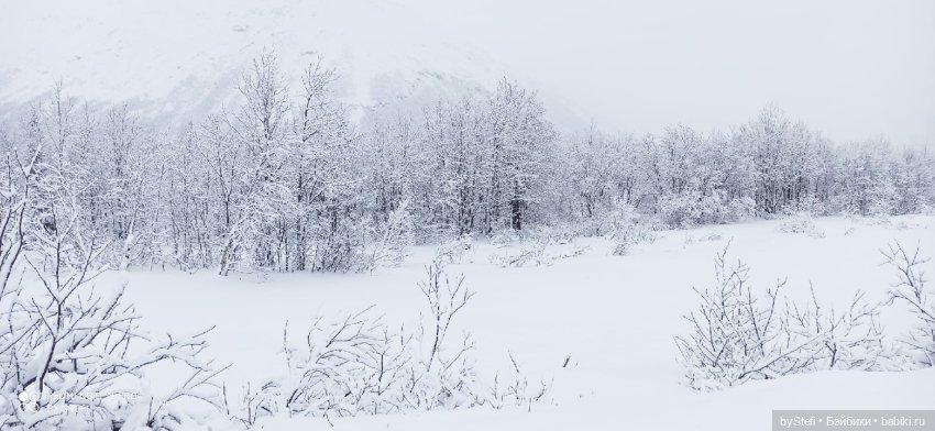 Приглашаю снова прогуляться по Заполярью :) Не соскучились еще