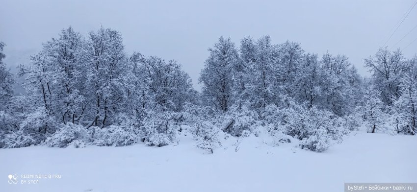 Приглашаю снова прогуляться по Заполярью :) Не соскучились еще