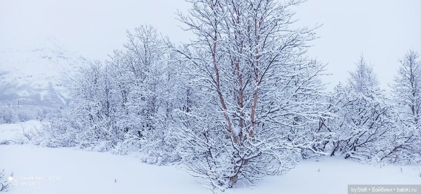 Приглашаю снова прогуляться по Заполярью :) Не соскучились еще