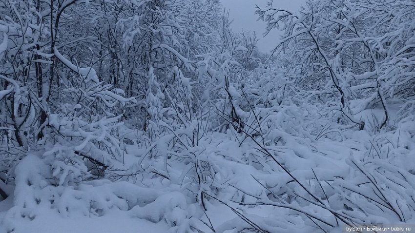 Приглашаю снова прогуляться по Заполярью :) Не соскучились еще