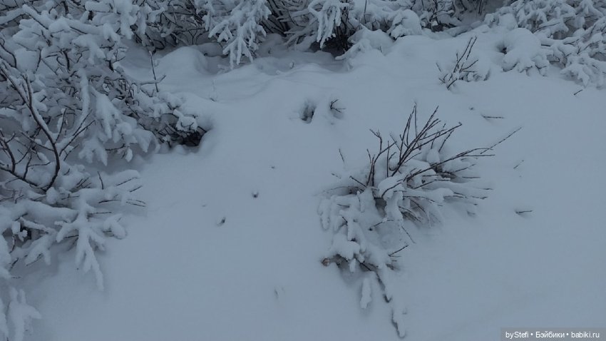 Приглашаю снова прогуляться по Заполярью :) Не соскучились еще (фото 10)