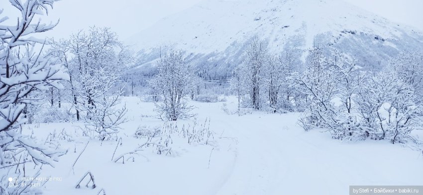 Приглашаю снова прогуляться по Заполярью :) Не соскучились еще