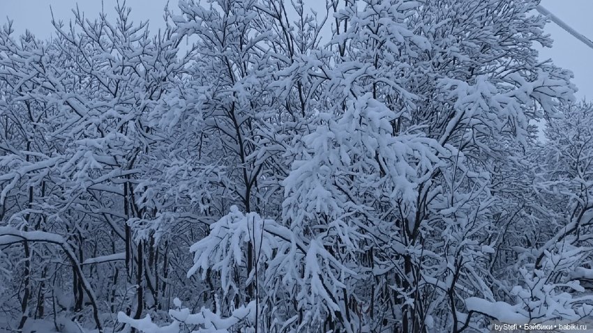 Приглашаю снова прогуляться по Заполярью :) Не соскучились еще