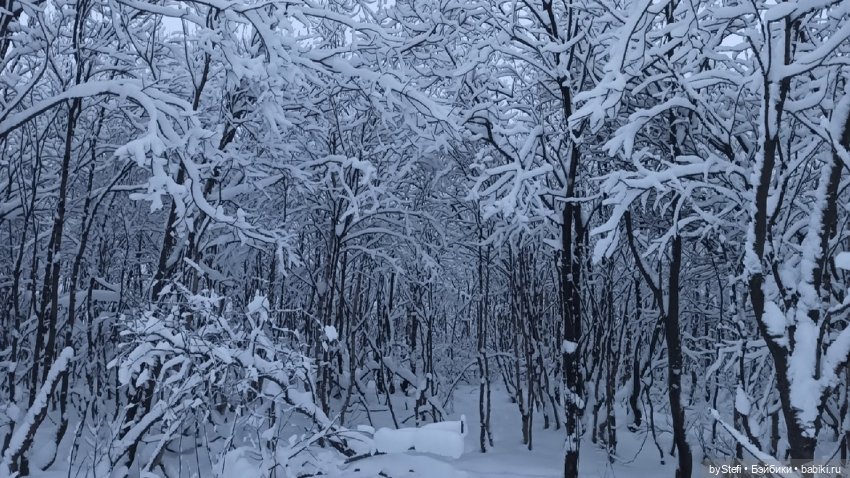 Приглашаю снова прогуляться по Заполярью :) Не соскучились еще