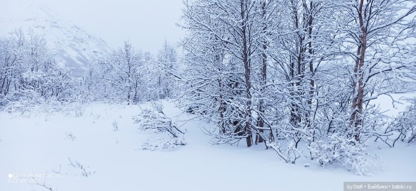 Приглашаю снова прогуляться по Заполярью :) Не соскучились еще