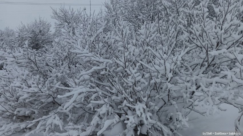 Приглашаю снова прогуляться по Заполярью :) Не соскучились еще (фото 9)