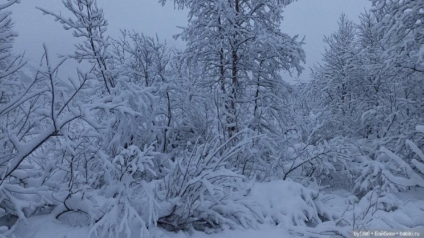 Приглашаю снова прогуляться по Заполярью :) Не соскучились еще