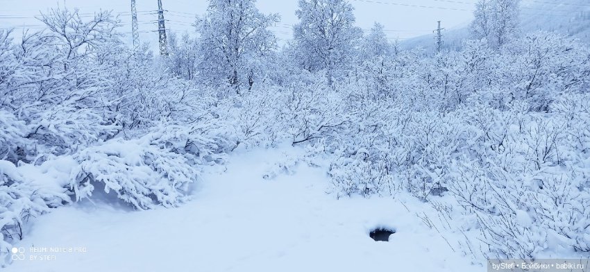 Приглашаю снова прогуляться по Заполярью :) Не соскучились еще