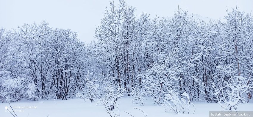 Приглашаю снова прогуляться по Заполярью :) Не соскучились еще