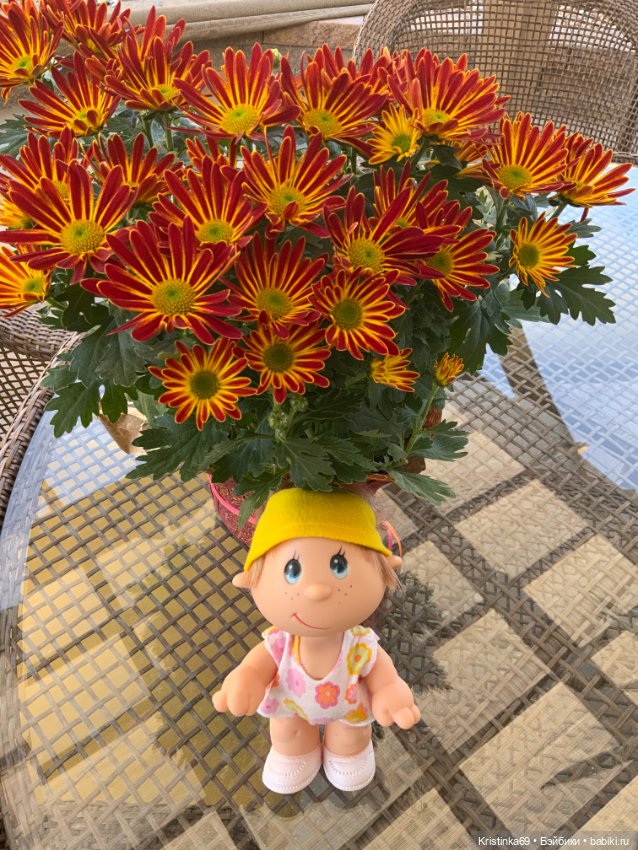 Время для добрых дел. Приключения Сауле в День Благодарения, продолжение 7 часть