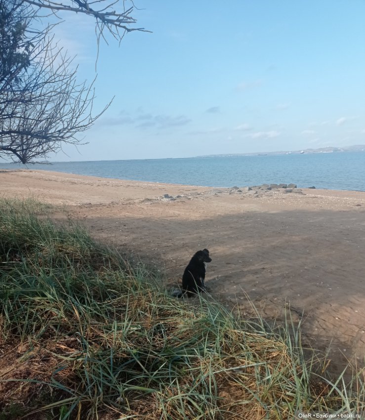 Roroша в velo tour de Taman