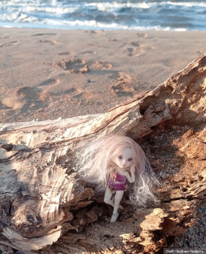 Roroша в velo tour de Taman (фото 5)