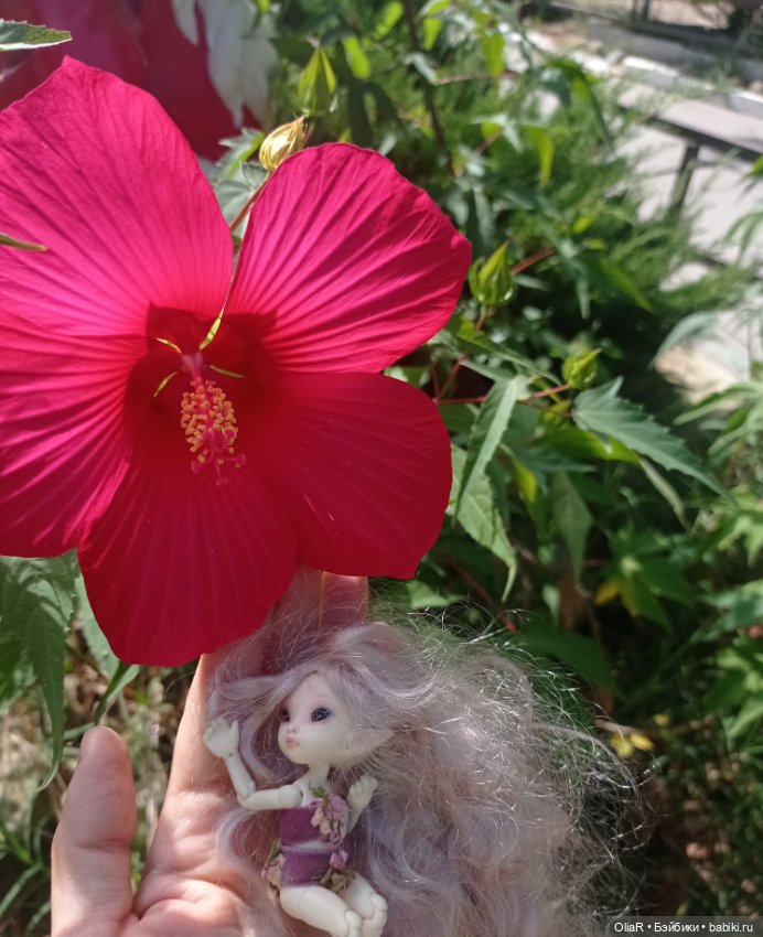 Roroша в velo tour de Taman (фото 9)