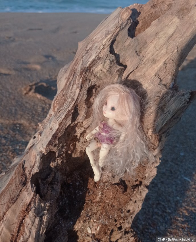 Roroша в velo tour de Taman (фото 7)